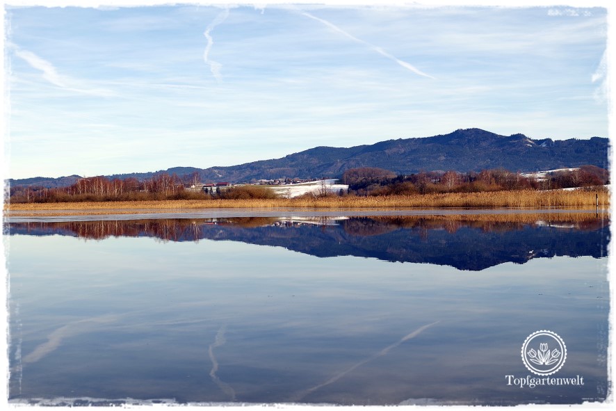 Gartenblog Topfgartenwelt Diana lernt Fotografieren Wallersee im Winter: fotografieren lernen