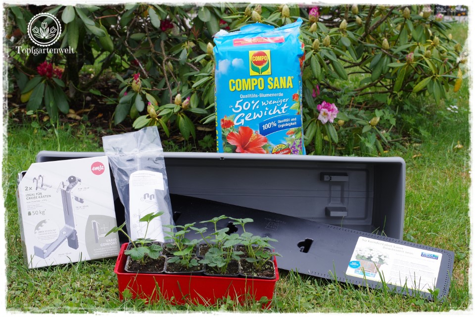 Food- und Gartenblog Topfgartenwelt Produkttest EMSA My City Garden mit Aqua Comfort-System - Test eines Balkonkastens mit Bewässerungssytem - Testbericht