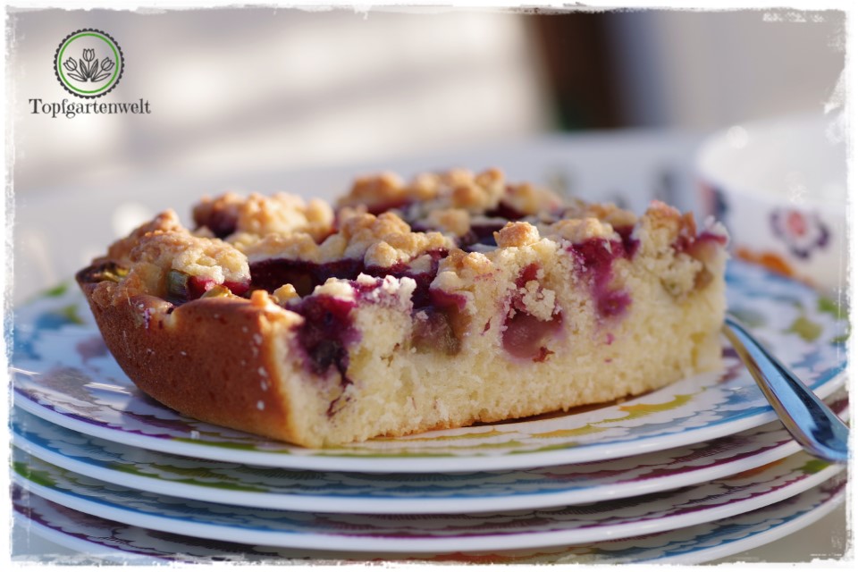 Rhabarber-Streuselkuchen mit Heidelbeeren aus Topfen-Öl-Teig ...