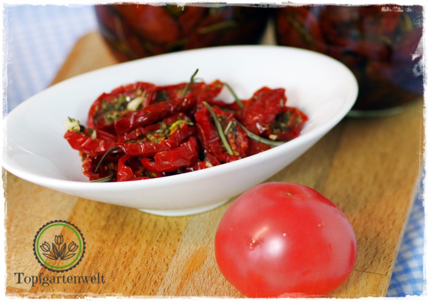 Getrocknete Tomaten in Öl einlegen: so machst Du Antipasti haltbar