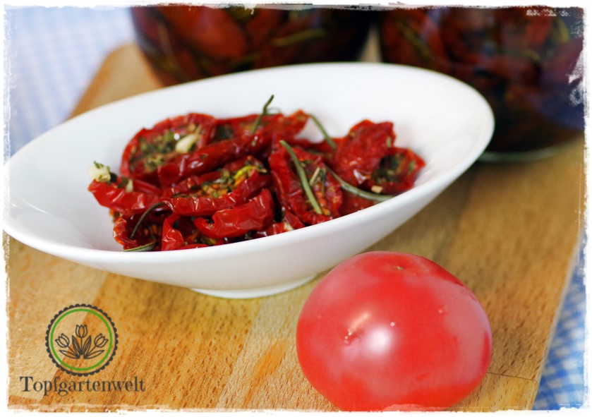 Getrocknete Tomaten in Öl einlegen, Antipasti einkochen