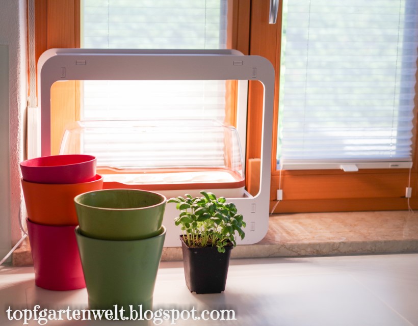 Mini Kräutergarten für Küche und Fensterbank mit Licht von Romberg