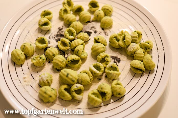 Bärlauch-Gnocchi aus dem Philips-Pasta-Maker - Foodblog Topfgartenwelt