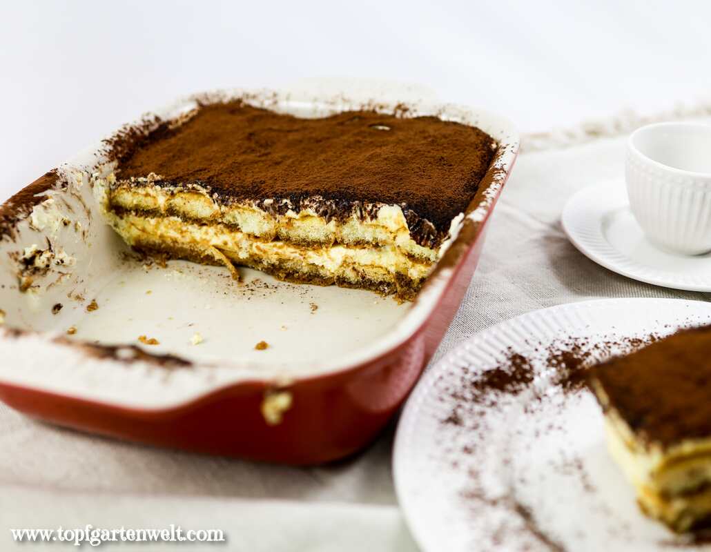 Klassisches Tiramisu, wie beim Italiener mit und ohne Alkohol