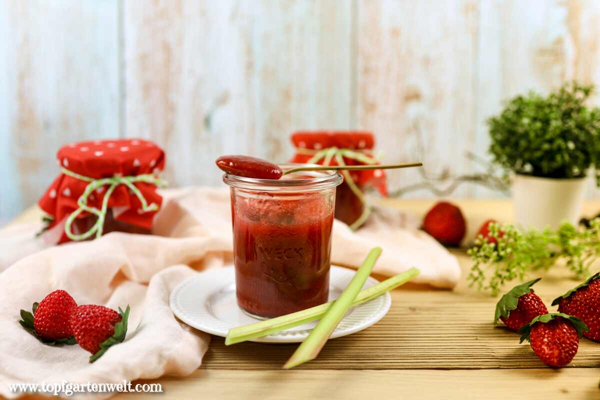 Erdbeer-Rhabarber-Marmelade mit Vanille | wenig Zucker! - Topfgartenwelt