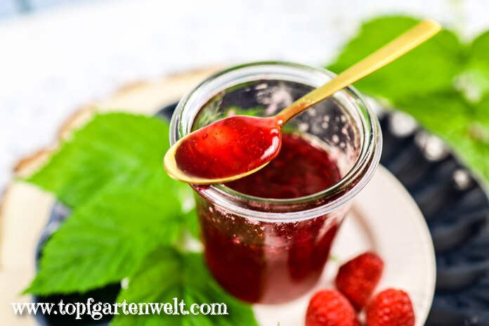 Himbeer-Johannisbeer-Marmelade ohne Kerne einkochen | Ribisel-Himbeer ...