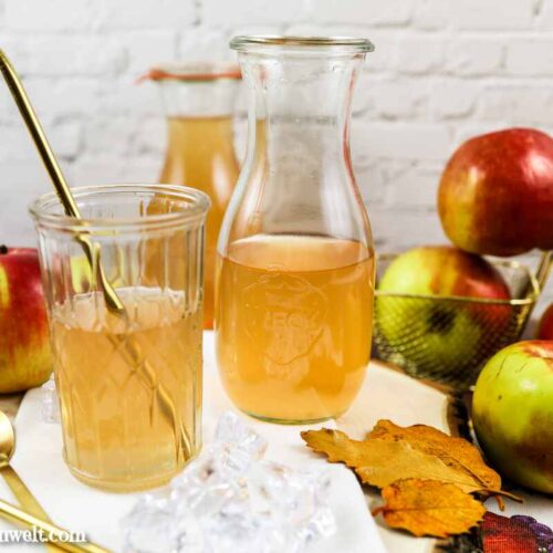 Apfelsaft selber machen mit Entsafter und einkochen - Foodblog Topfgartenwelt