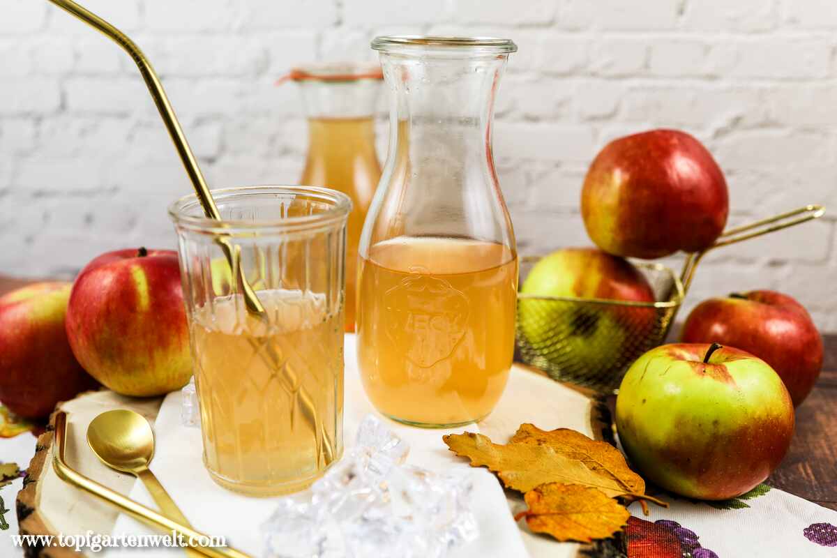 Äpfel entsaften: Apfelsaft einkochen und haltbar machen ohne Zucker