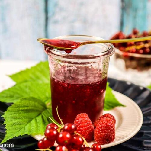 Himbeer-Johannisbeer-Marmelade ohne Kerne einkochen - Foodblog Topfgartenwelt