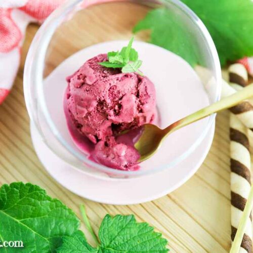 Johannisbeer-Eis, Ribisel-Eis selber machen mit Eismaschine - Foodblog Topfgartenwelt