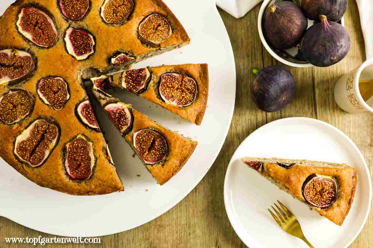 Feigenkuchen mit frischen Feigen und Walnüssen backen