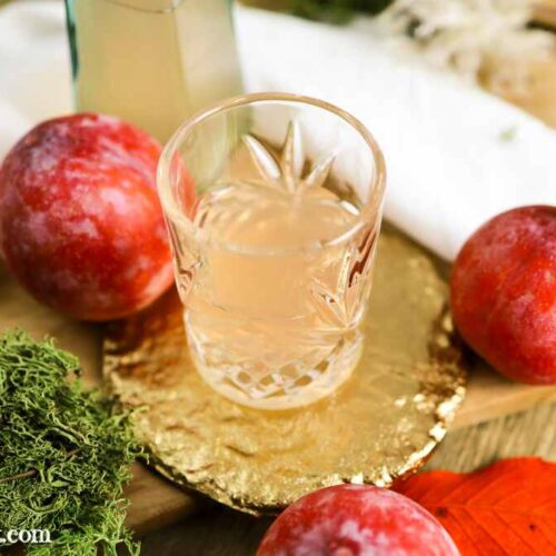 Pflaumenlikör selber machen mit Wodka - Foodblog Topfgartenwelt