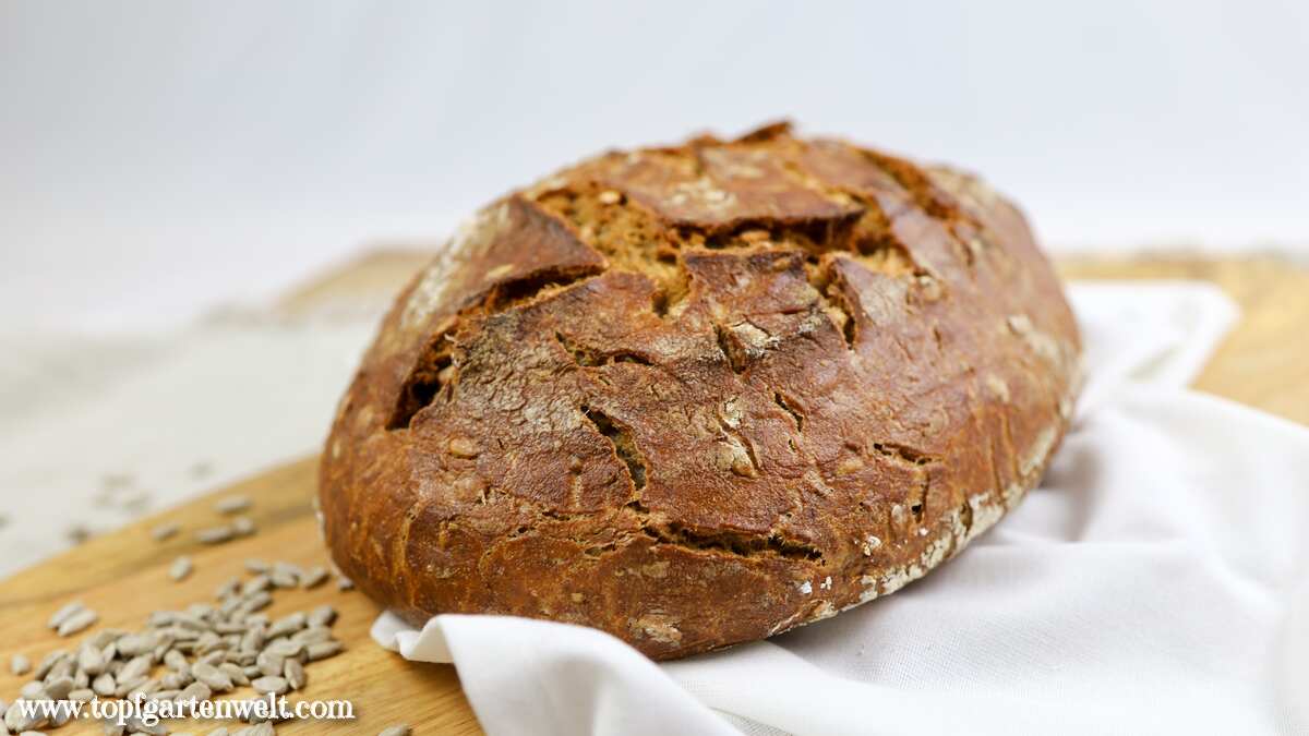 Roggenmischbrot mit Sauerteig von Fairment - gelingsicheres Rezept - Foodblog