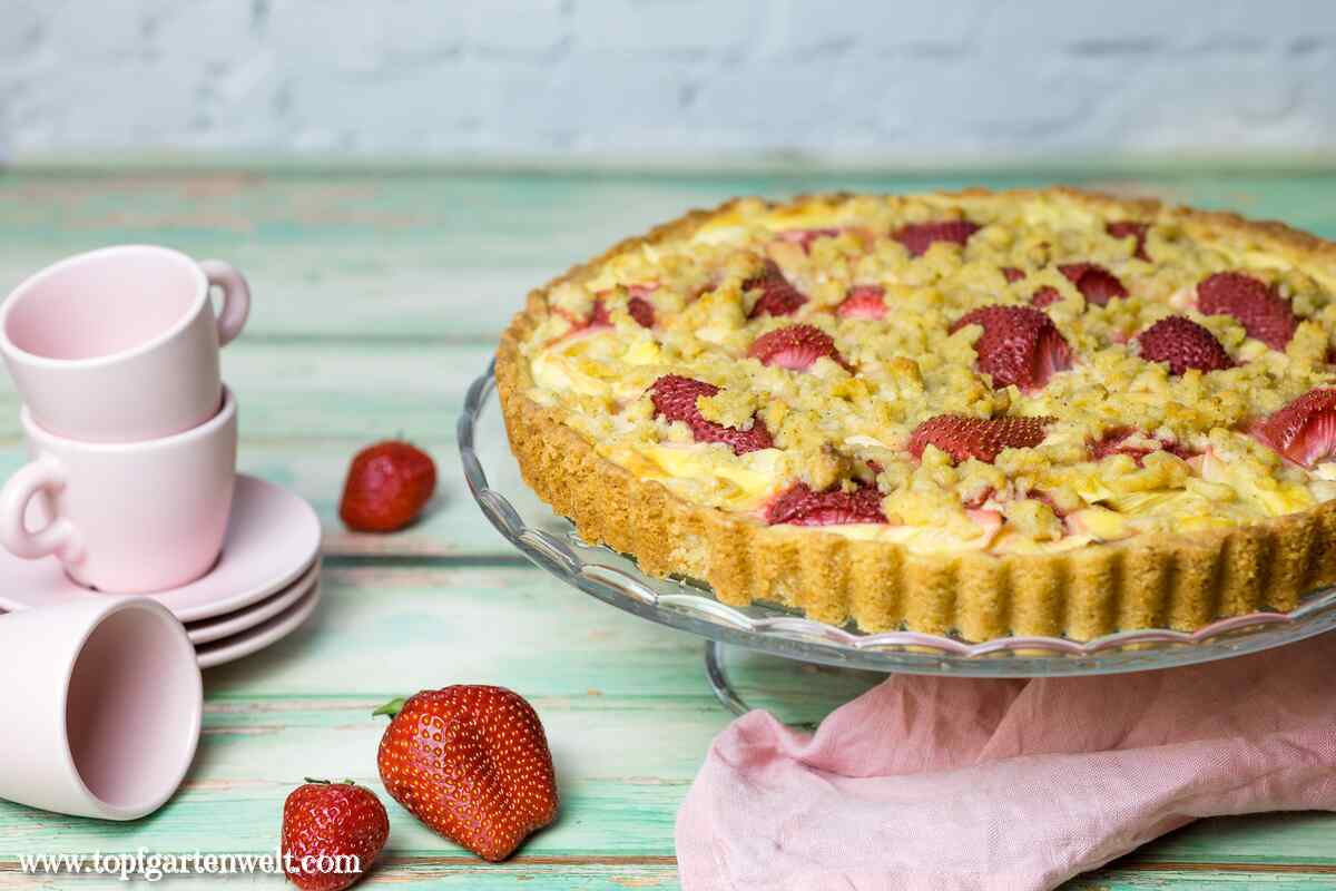 Erdbeer-Rhabarber-Kuchen mit Pudding selber machen