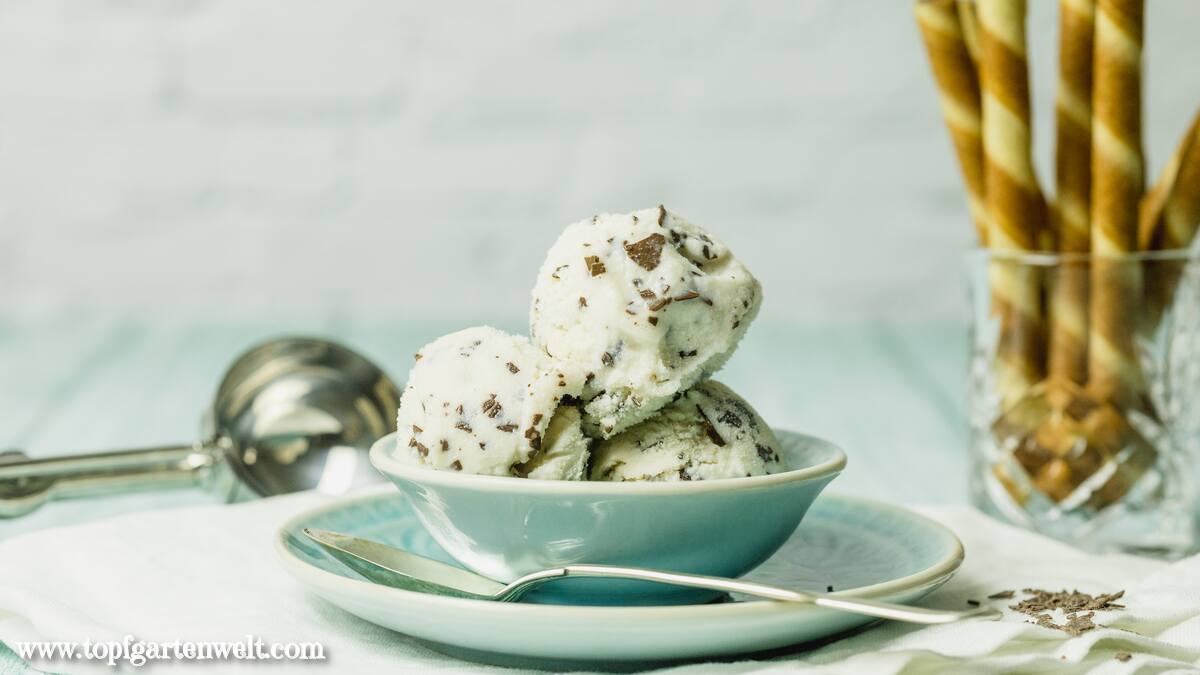 Stracciatella-Eis ohne Ei aus Eis für Genießer, eine Buchrezension - Foodblog Topfgartenwelt
