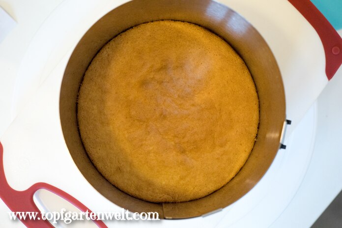 Himbeer-Joghurt-Torte mit einem Tortenring umfassen Foodblog Topfgartenwelt