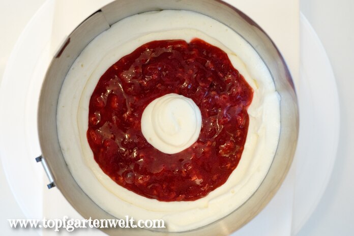 Himbeerpüree in Himbeer-Joghurt-Torte einfüllen - Foodblog Topfgartenwelt