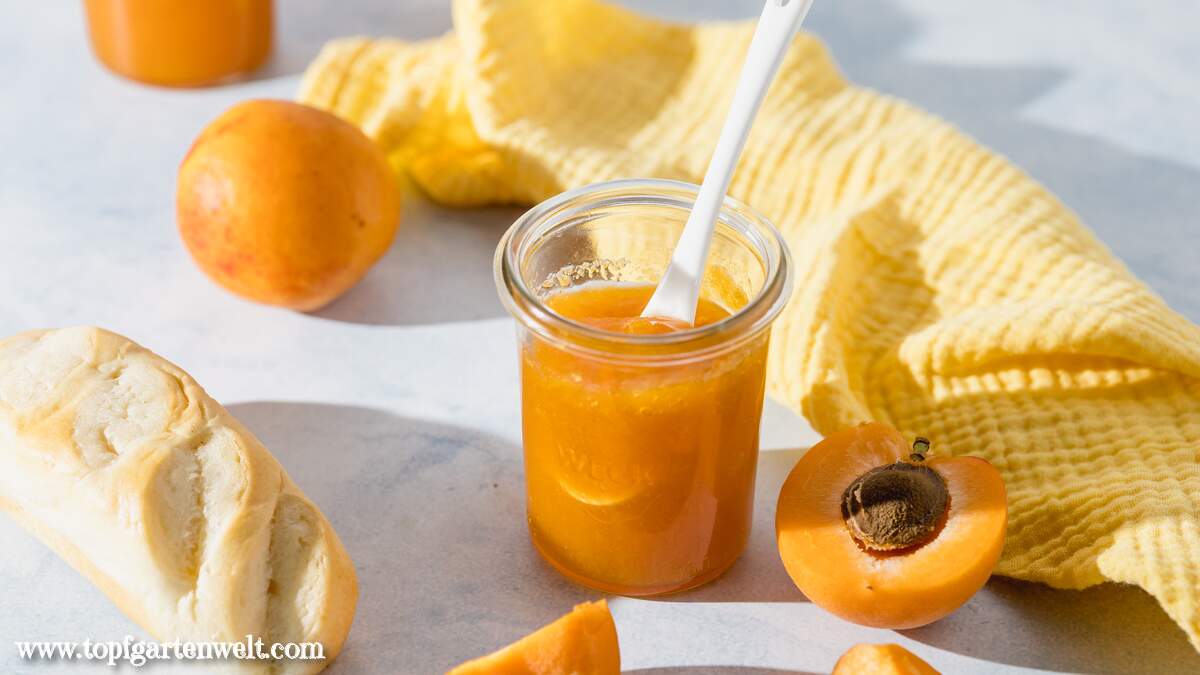 Aprikosenmarmelade aus 3 Zutaten
